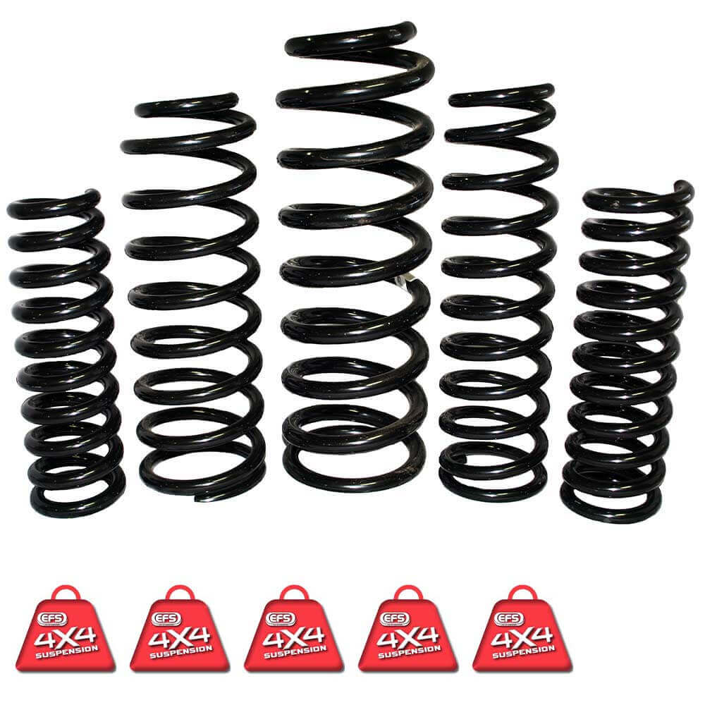 EFS COIL SPRINGS REAR | TLC-113HHDE