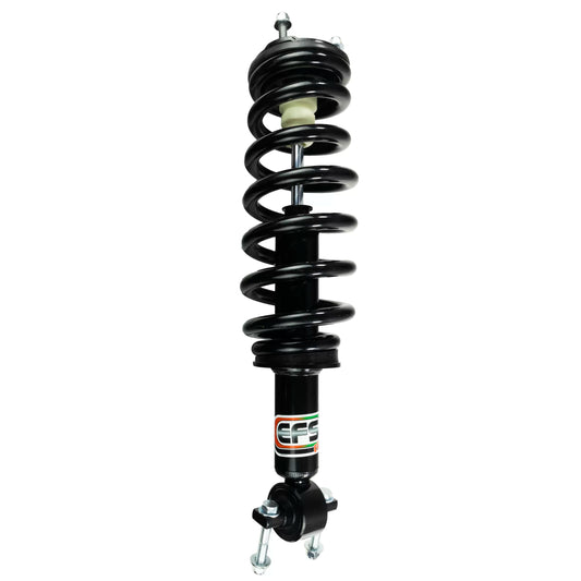 EFS EASY FIT STRUTS | ECS-FORD-01-R